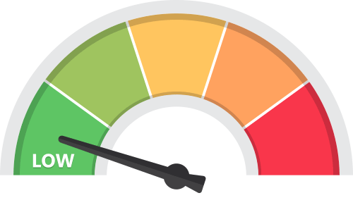 Risk Icon